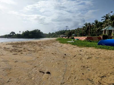 IMAG0974.jpg