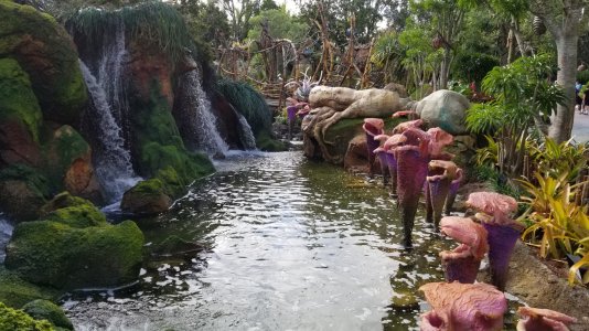 20170618_091130.jpg