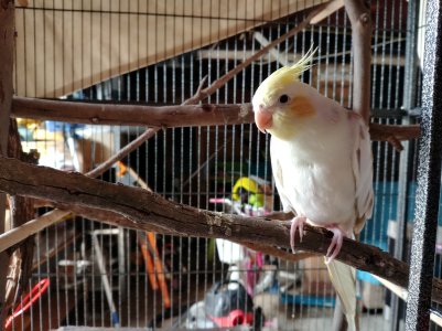 2017-05-18 13.20.19.jpg