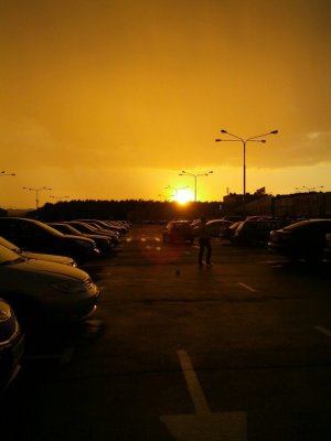IMG_0666.jpg
