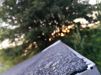 IMG_20170717_212055.jpg