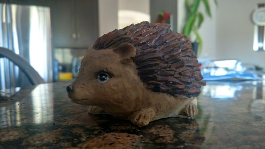 IMG_20170806_184429748_HDR.jpg