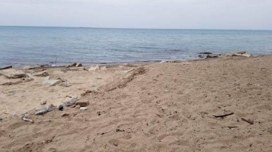 beach 2.jpg