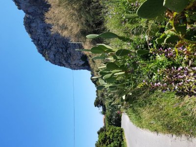 20170501_135909.jpg