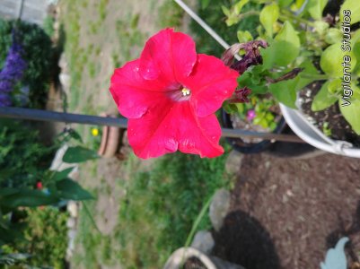 20170622_144907.jpg