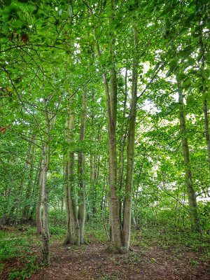20170810_173514-02.jpg