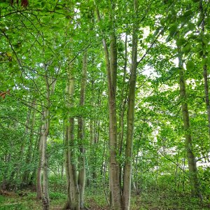 IMG_20170810_183923_686.jpg