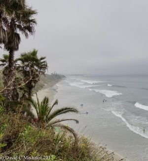 20170620_102528.jpg