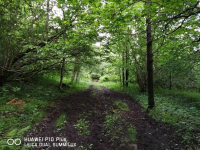 IMG_20170621_210609.jpg