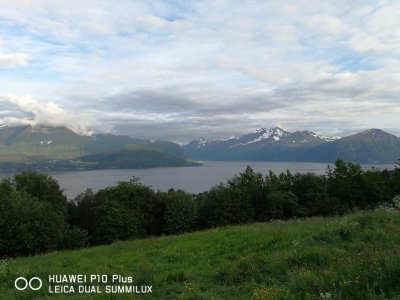IMG_20170621_212016.jpg