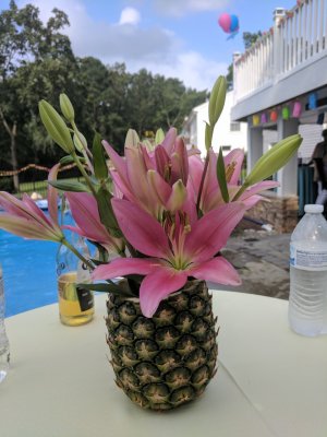 IMG_20170812_163112.jpg