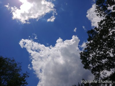 20170625_134050.jpg