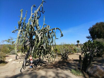 20170520_152938.jpg