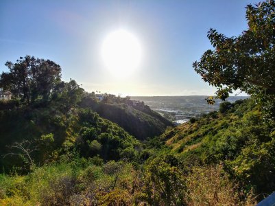 20170508_175203_HDR.jpg