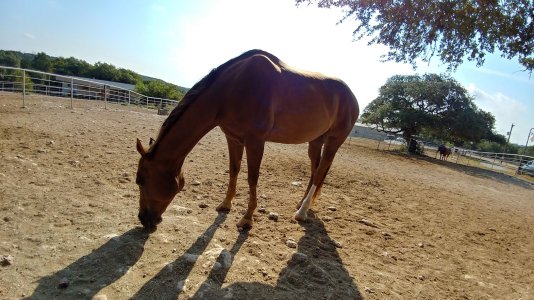 20170805_093543_HDR.jpg