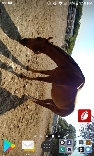Capture+_2017-08-15-13-50-16.jpg