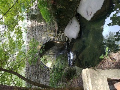 20170811_142823_HDR.jpg