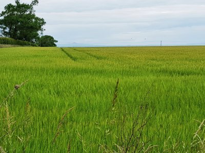 20170626_174401-01.jpg