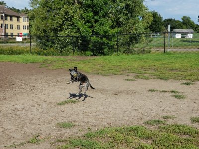 20170907_163425.jpg