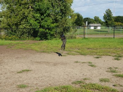 20170907_164042.jpg