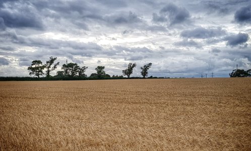 20170818_174214-01.jpg