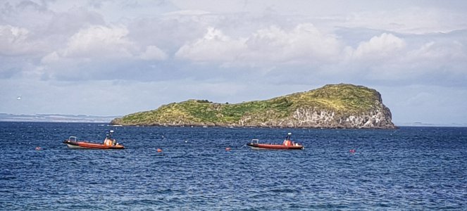 20170819_130433-01.jpg