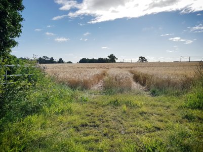 20170819_093814-01-01.jpg