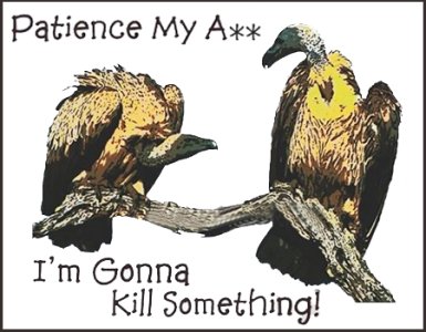 Patience.jpg