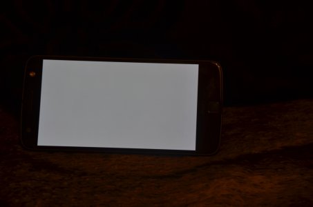 DSC_0135.jpg