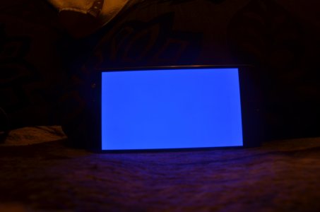 DSC_0132.jpg