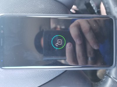 20170909_131245.jpg