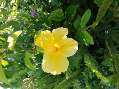 20170630_172620_HDR.jpg