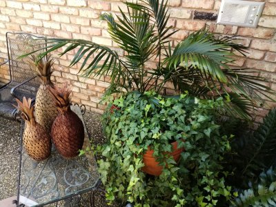 IMG_20170910_105637.jpg