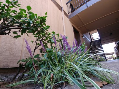 20170903_125722.jpg