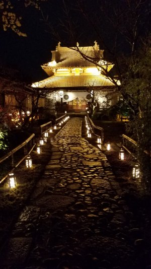 20170406_204109.jpg