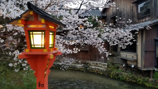 20170407_181403.jpg