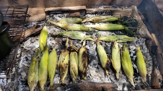 20170628_150910.jpg