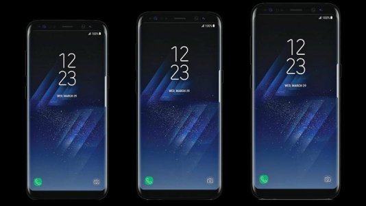 Galaxy S8 Mini.jpg