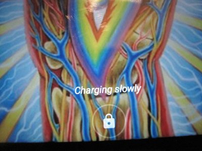 34941739563_bf7885979b_z.jpg