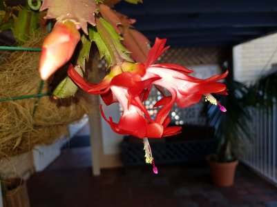 20170525_080131.jpg
