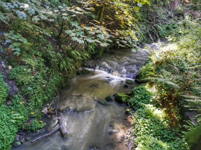 IMG_20170908_154854-01.jpg