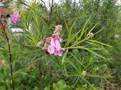 20170515_123736.jpg