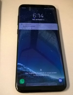 s81.jpg
