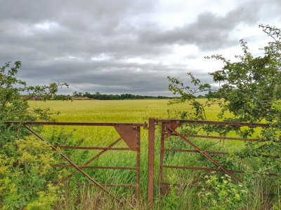 20170709_165504-01.jpg