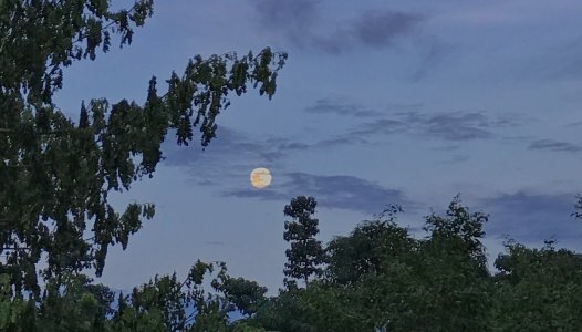 IMG_8070.jpg