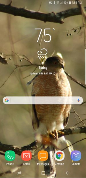 Screenshot_20170827-195558.jpg