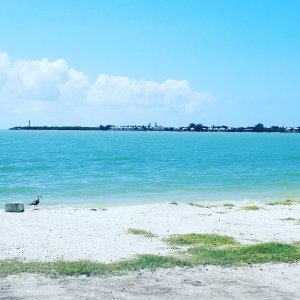 IMG_20170623_115121_353.jpg