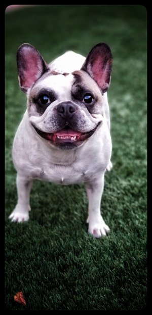 20170913_185213-01.jpg 20170913_185213-01.jpg