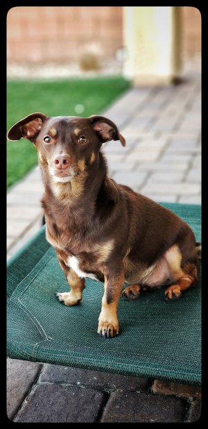 20170914_090636-01.jpg 20170914_090636-01.jpg