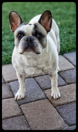 20170914_090650-02.jpg 20170914_090650-02.jpg